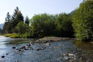 CBWTP-stream-banner.jpg
