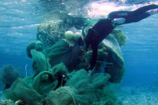 marine-debris-diver-ffe-website-banner.jpg